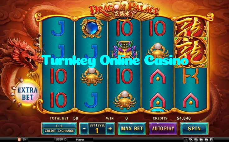 Turnkey Online Casino