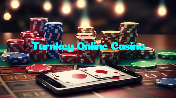 available types of Turnkey Online Casino bet including pre-match live express and system bets